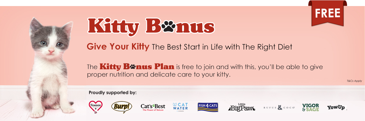 Kitty Bonus Plan